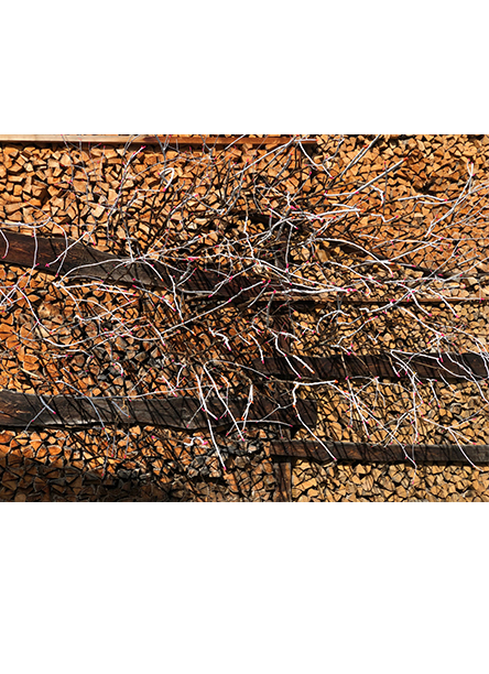 die holzbeige an der dorfstrasse